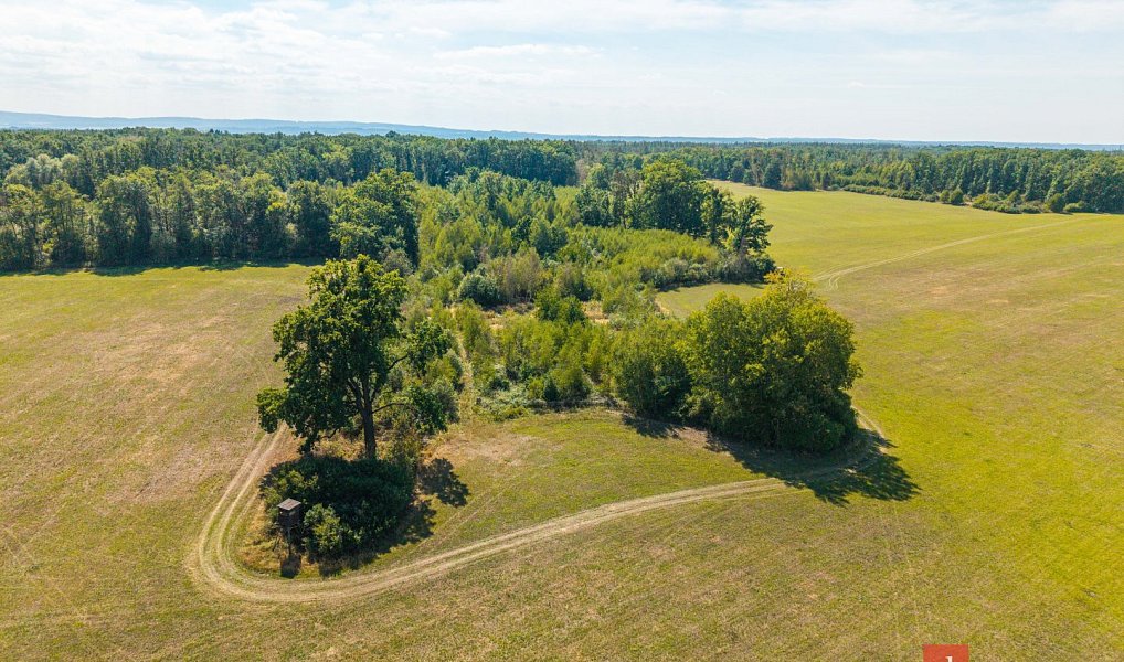 Prodej lesa 37 347 m², Pardubice – náhled fotky 11