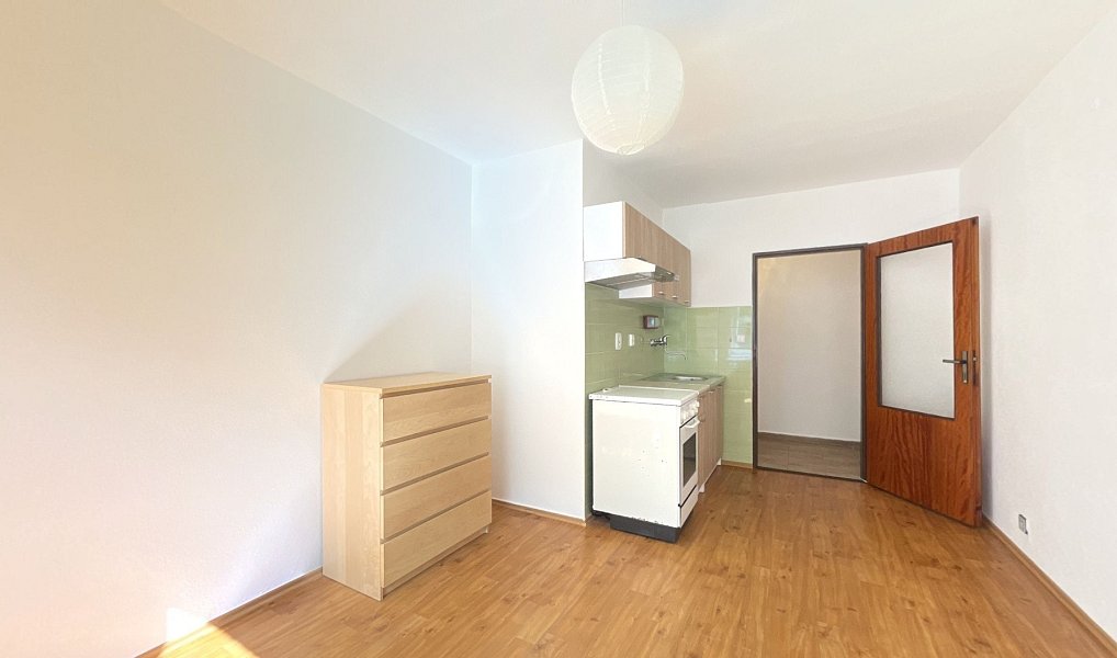 Pronájem bytu 1+kk 24 m², Tábor – náhled fotky 3