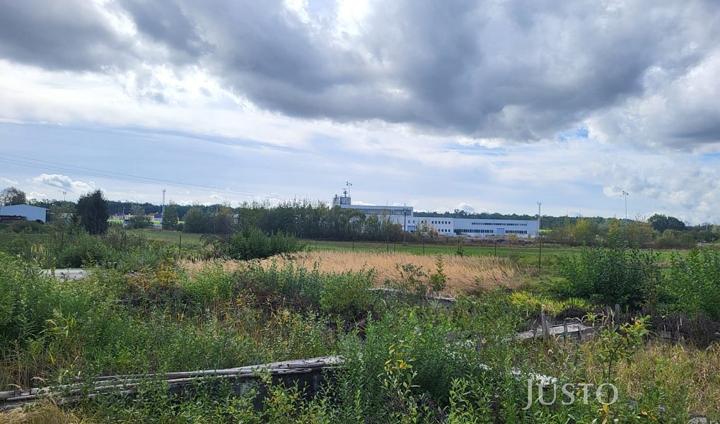Prodej komerčního pozemku 8 618 m², Protivín – náhled fotky 4