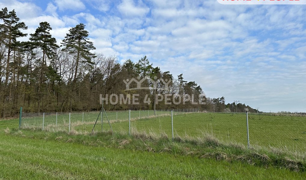 Prodej pozemku 9 374 m², Kozojedy – náhled fotky 7