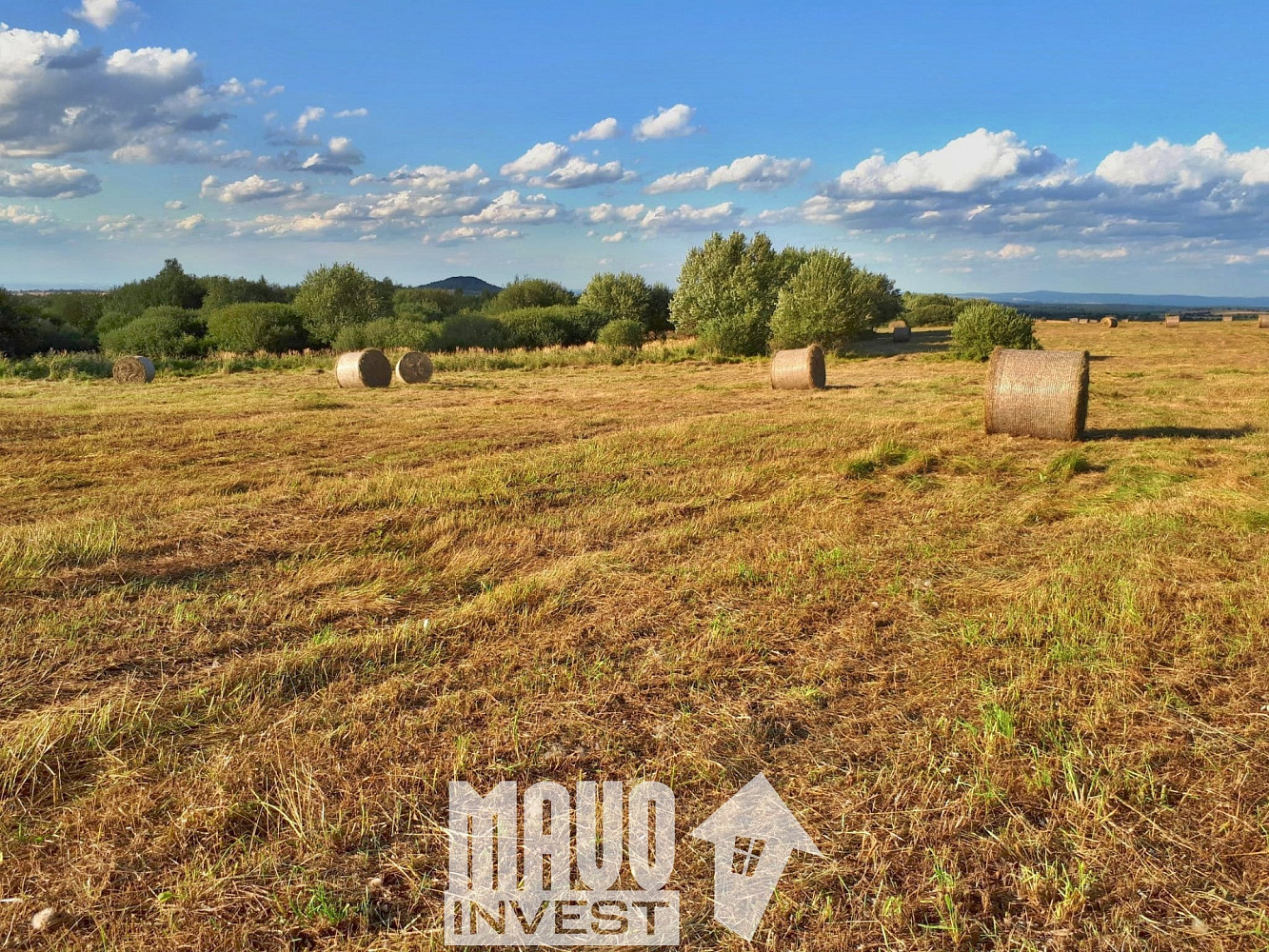 Prodej louky 118 619 m² – fotografie 3