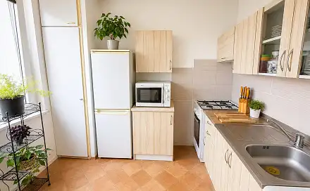Prodej bytu 1+1 45 m²