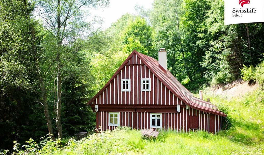 Prodej chaty/chalupy 101 m² s pozemkem 5 164 m², Desná – náhled fotky 3