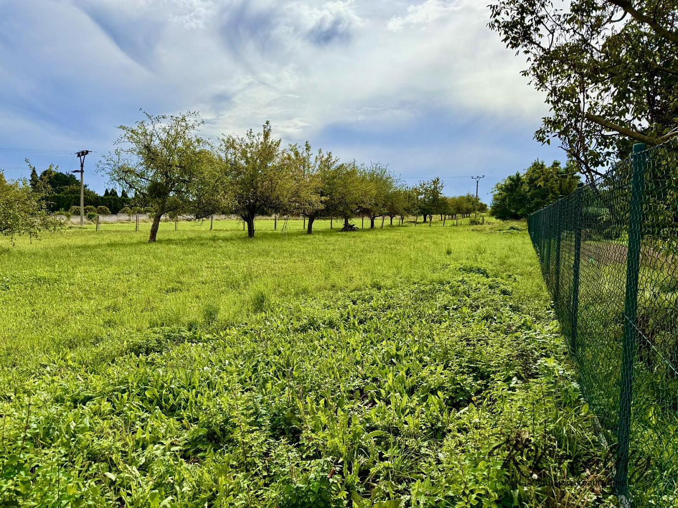 Prodej stavebního pozemku 1 306 m² – fotografie 2