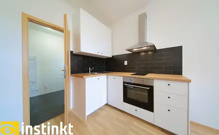 Pronájem bytu 1+kk 36 m², Guldenerova, Plzeň - Východní Předměstí