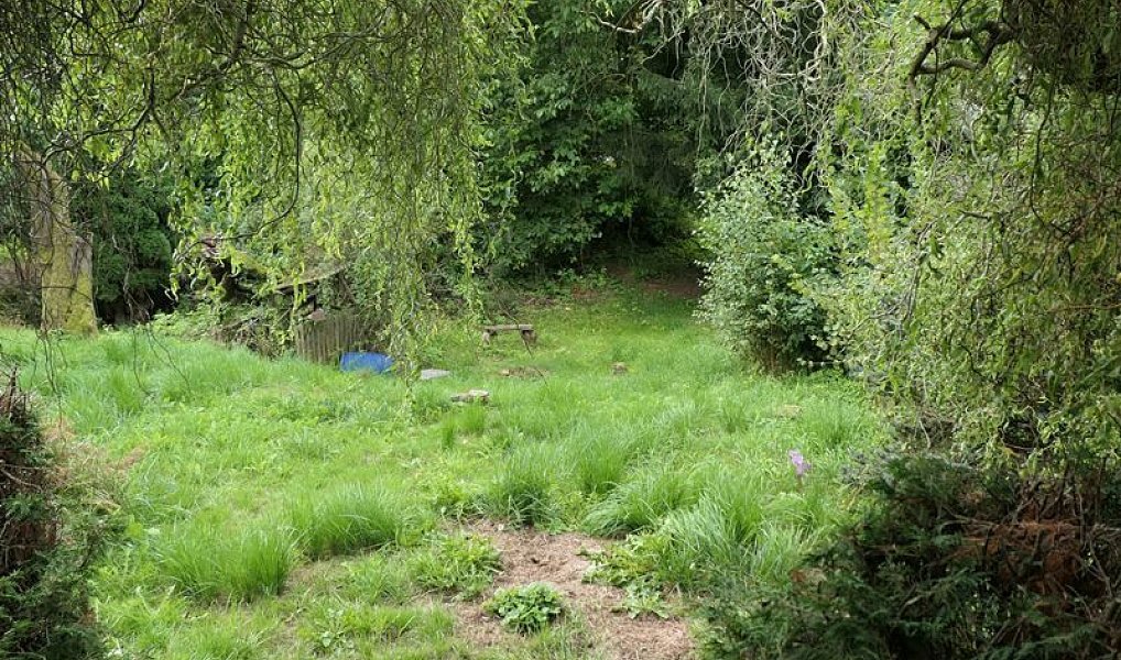 Prodej chaty/chalupy 20 m² s pozemkem 364 m², Hronov – náhled fotky 10