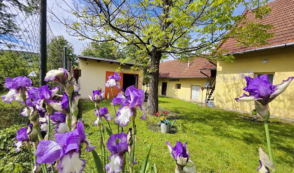 Prodej chaty/chalupy 700 m² s pozemkem 1 816 m², Brumov-Bylnice – náhled fotky 11