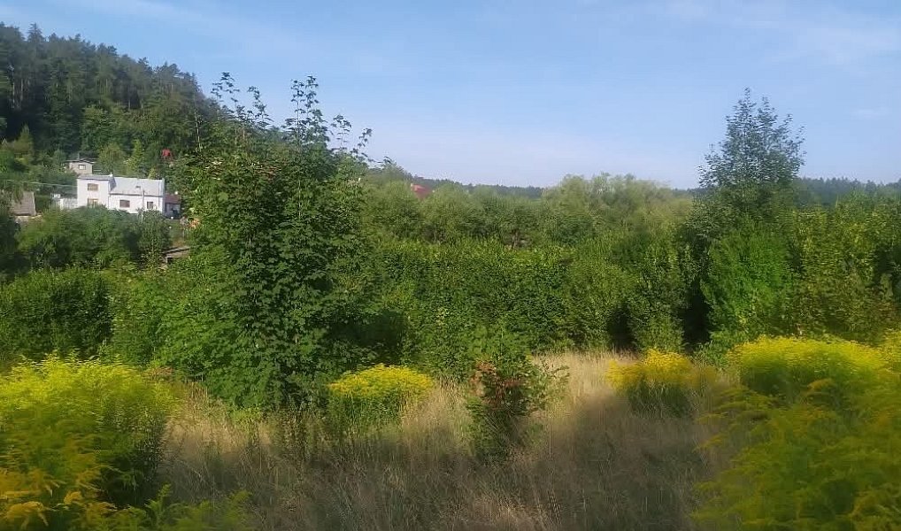 Prodej pozemku 411 m², Olomouc – náhled fotky 10