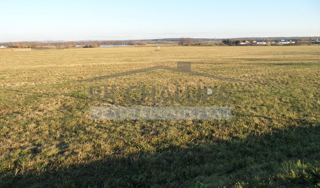 Prodej komerčního pozemku 14 406 m², Dubné – náhled fotky 5