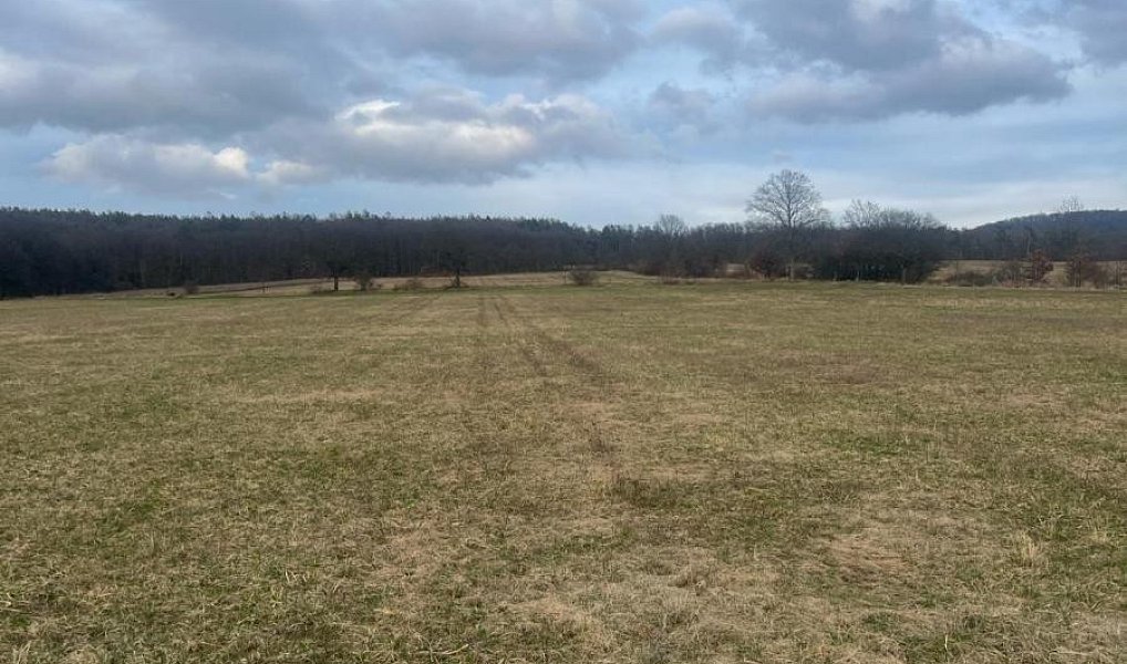 Prodej pole 13 030 m², Bělkovice-Lašťany – náhled fotky 5
