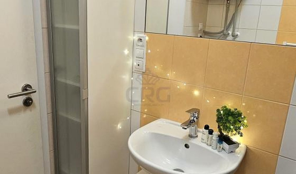 Pronájem bytu 1+kk 32 m², Brno – náhled fotky 3