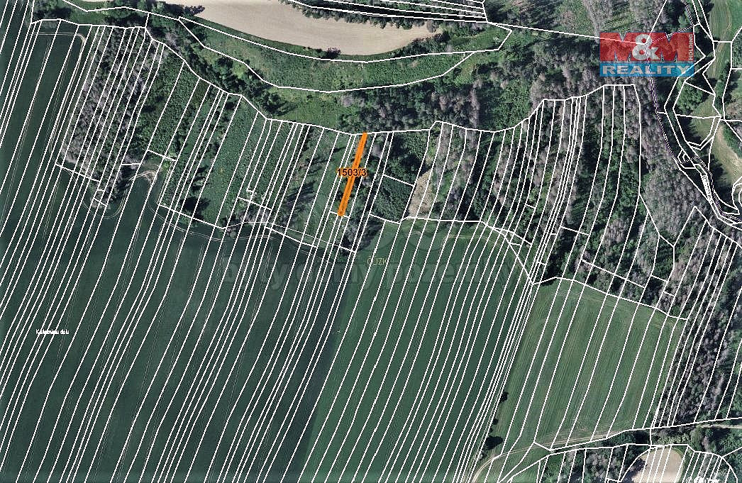 Prodej lesa 372 m²