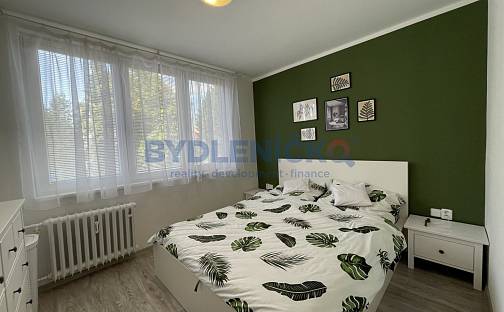 Pronájem bytu 2+1 49 m², J. Plachty, České Budějovice - České Budějovice 3