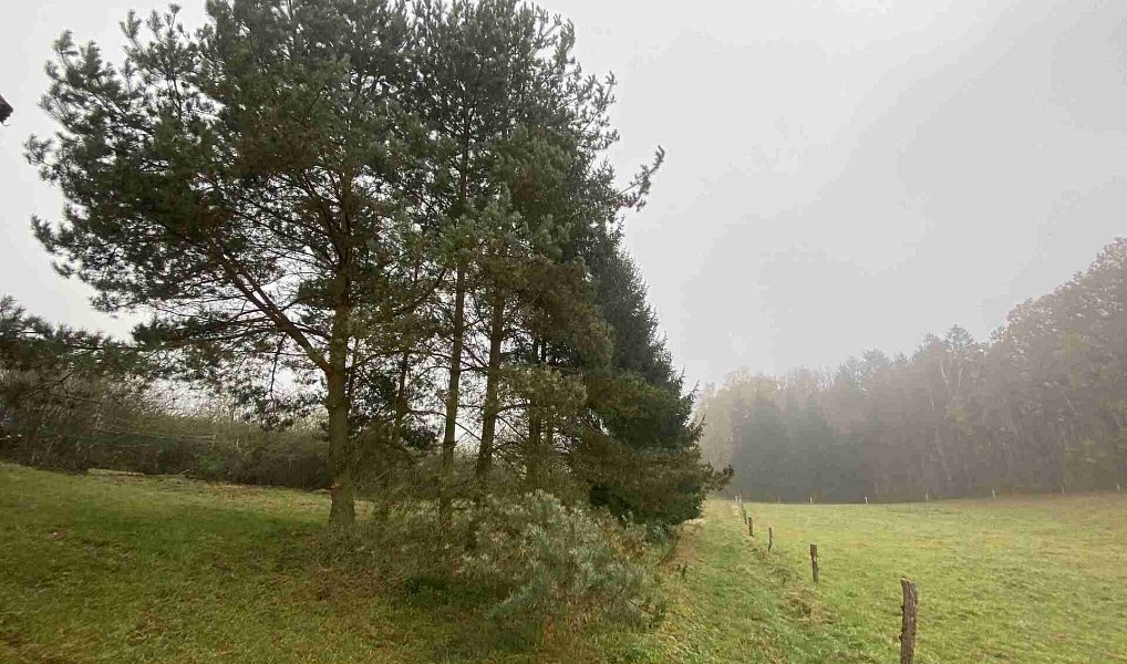 Prodej pozemku 566 m², Černousy – náhled fotky 3