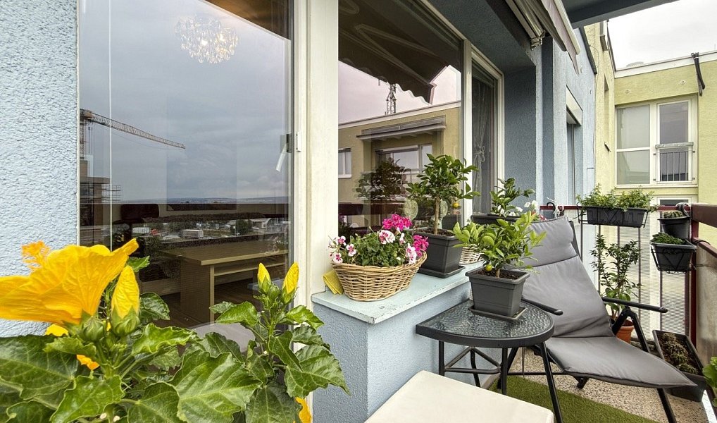 Prodej bytu 4+1 84 m², Brno – náhled fotky 7