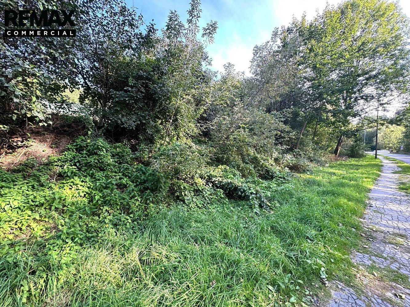 Prodej stavebního pozemku 1 259 m² – pohled 4