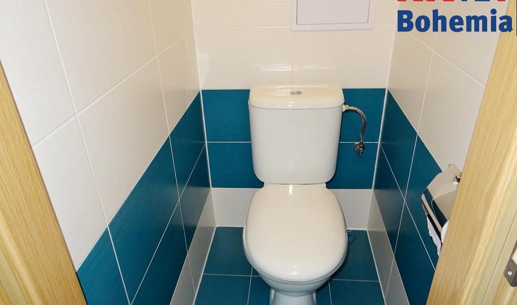 Pronájem bytu 3+1 80 m², Benátky nad Jizerou – náhled fotky 7