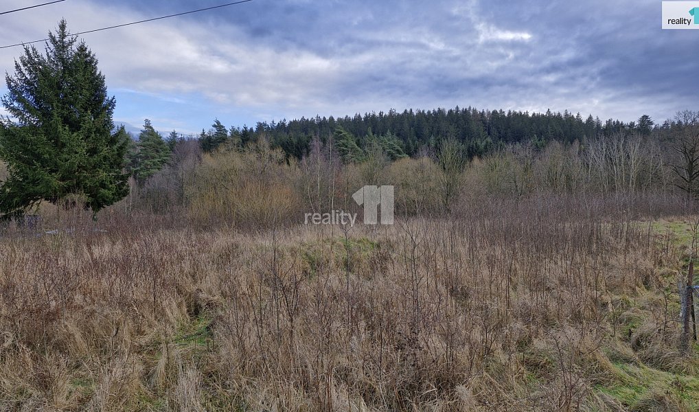 Prodej stavebního pozemku 2 983 m², Kynšperk nad Ohří – náhled fotky 11