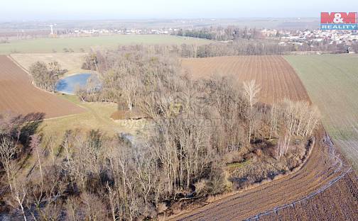 Prodej lesa 2 716 m², Neplachovice, okres Opava