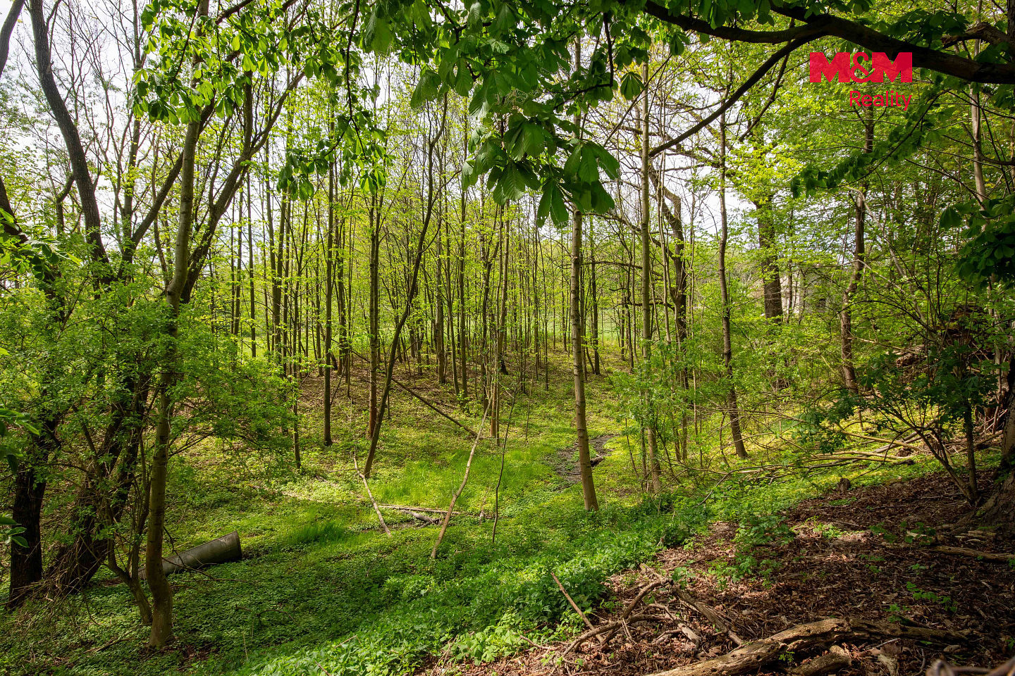 Prodej stavebního pozemku 6 241 m² – fotografie 4