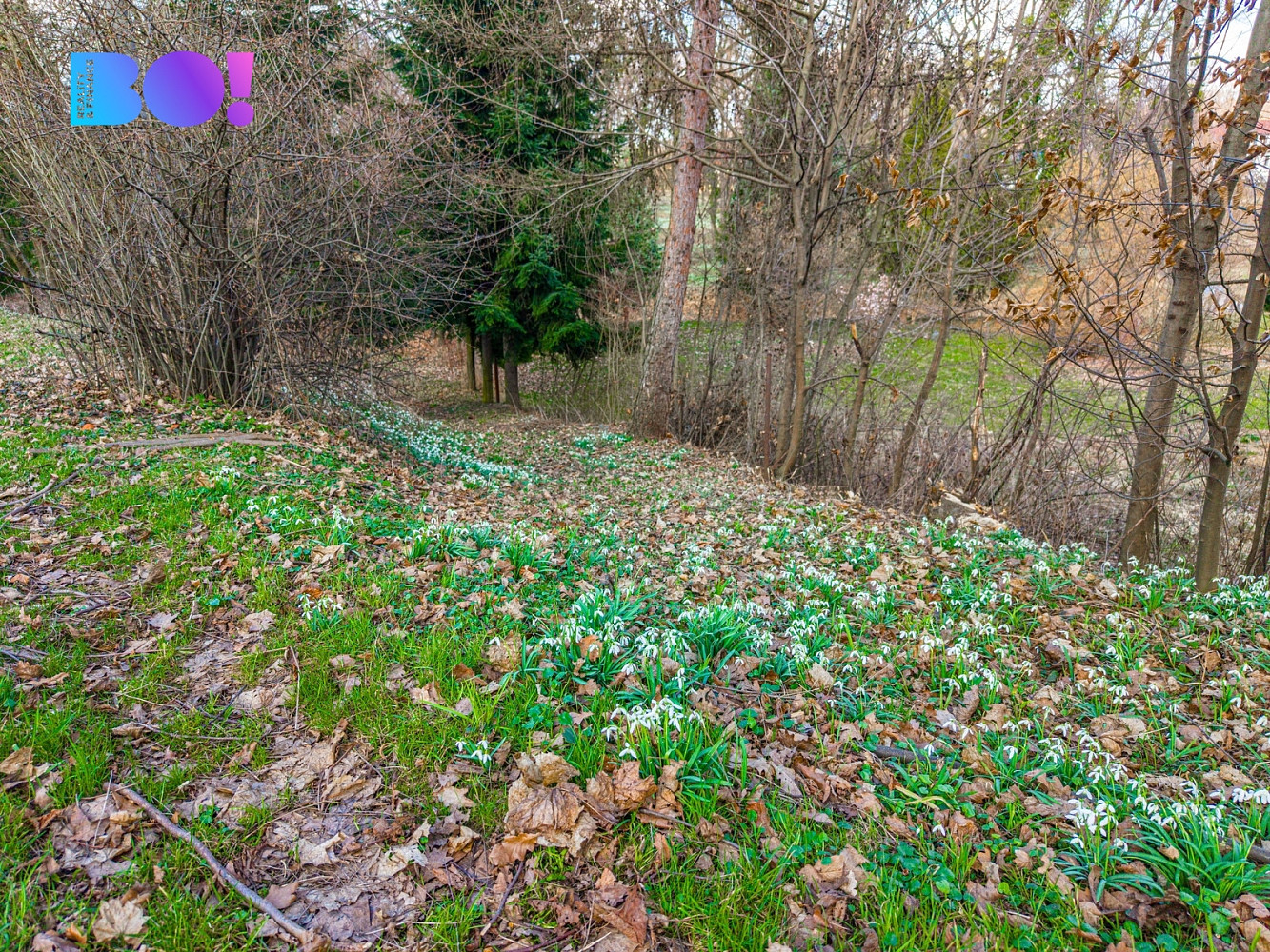 Prodej stavebního pozemku 970 m² — photo 4