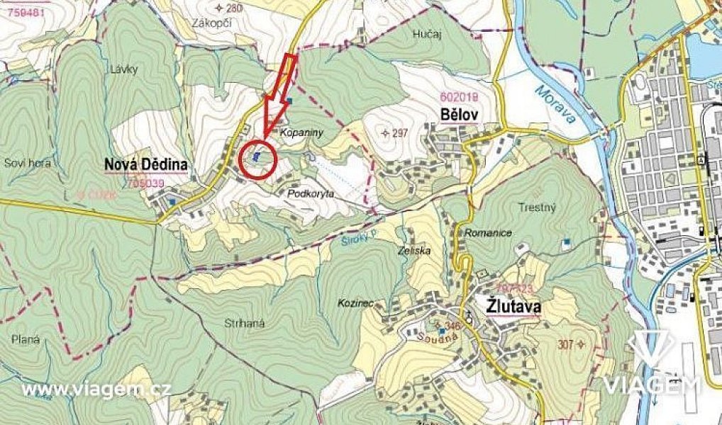 Prodej lesa 1 811 m², Nová Dědina – náhled fotky 3
