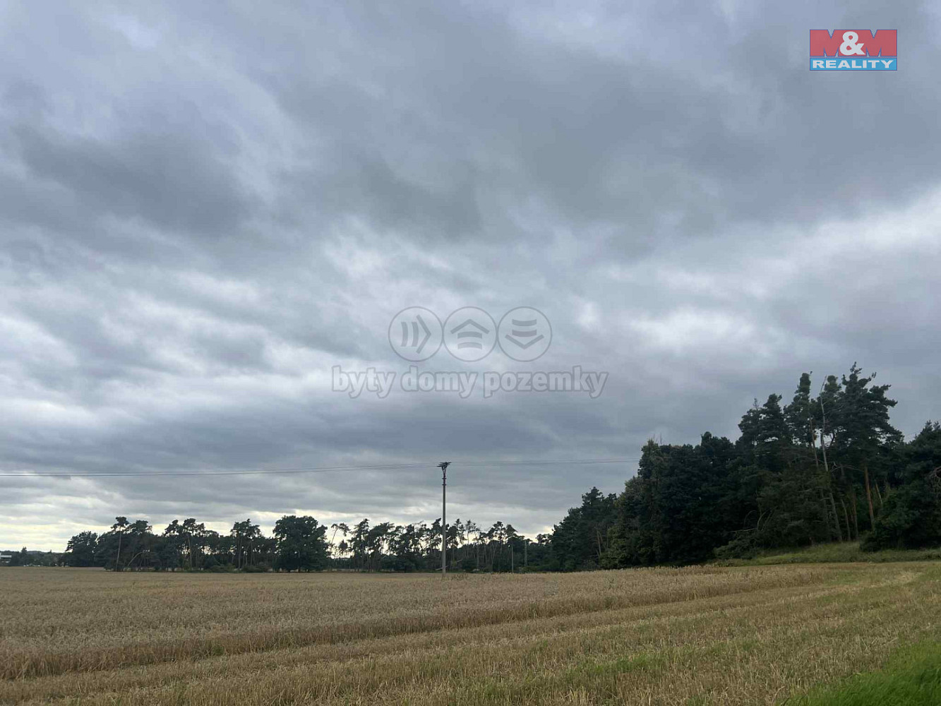 Prodej lesa 4 321 m² – fotografie 3