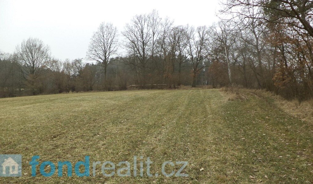 Prodej pole 41 964 m², Zvěstov – náhled fotky 8