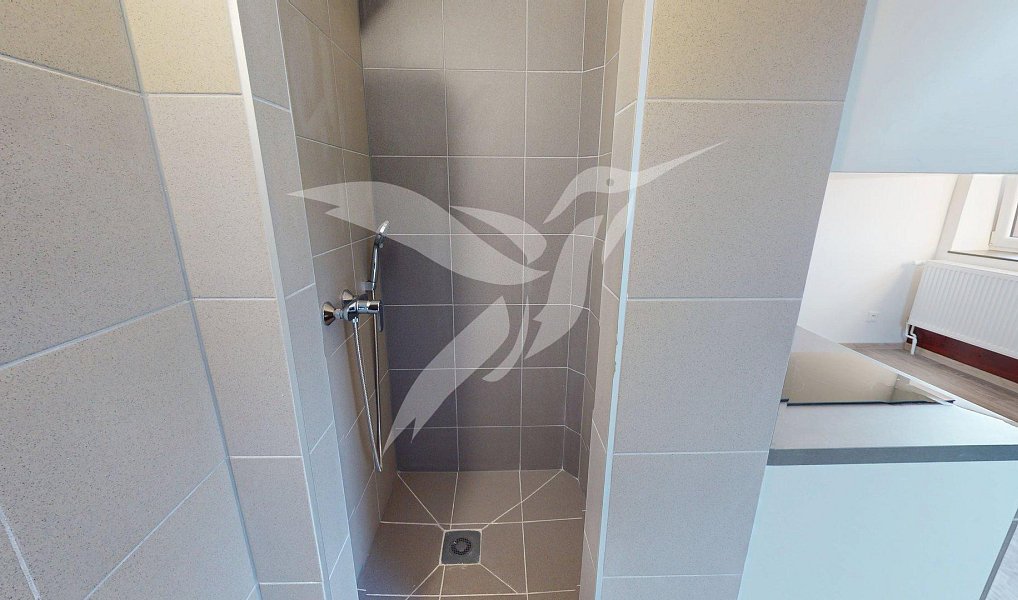Pronájem bytu 1+kk 26 m², Šťáhlavy – náhled fotky 2