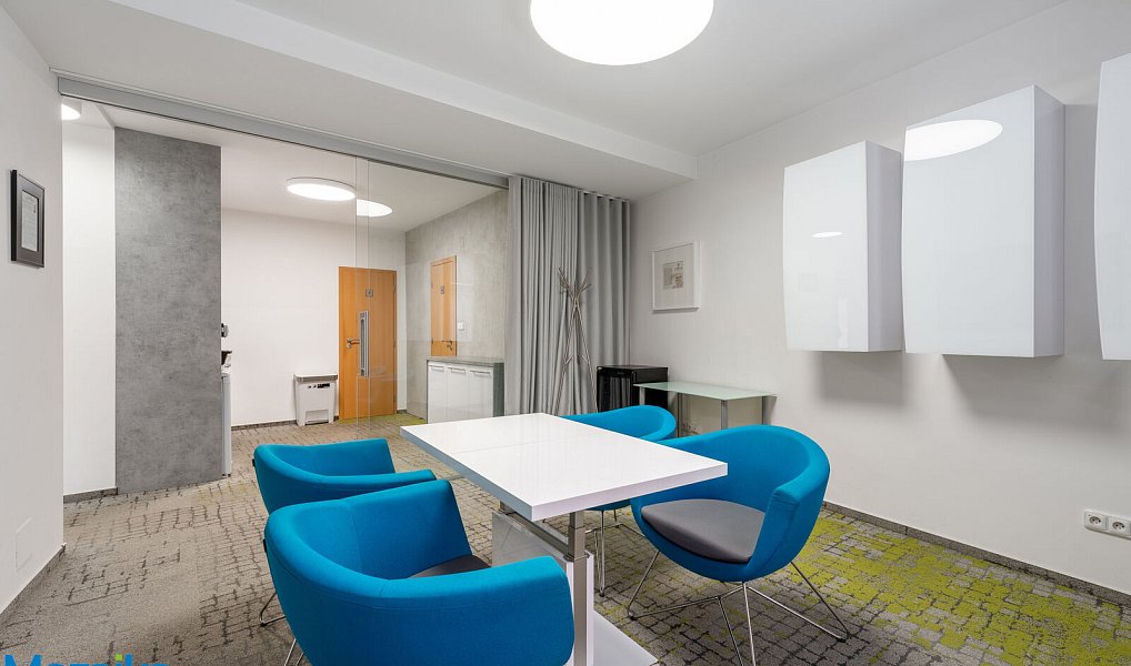 Prodej domu 340 m² s pozemkem 190 m², Brno – náhled fotky 6
