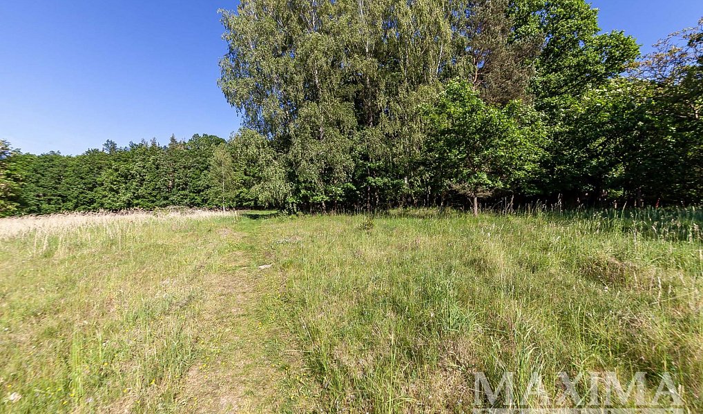 Prodej stavebního pozemku 4 612 m², Hluboš – náhled fotky 7