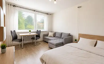 Pronájem bytu 1+1 31 m²