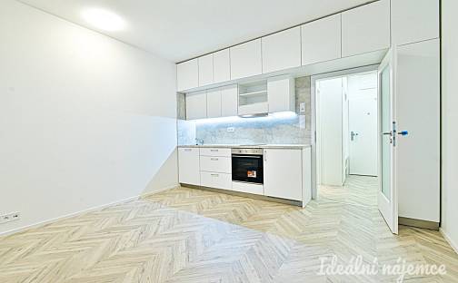 Pronájem bytu 1+kk 29 m², Cejl, Brno - Zábrdovice