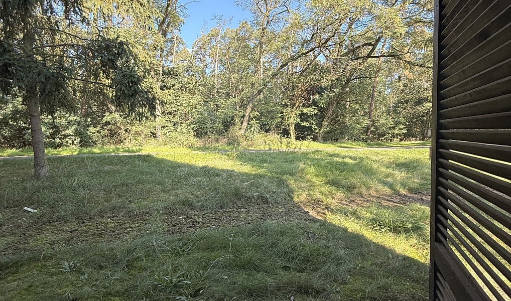 Prodej chaty/chalupy 180 m² s pozemkem 694 m², Račice – náhled fotky 24