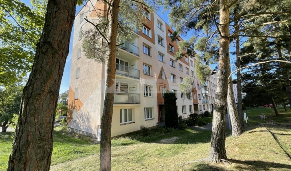 Pronájem bytu 2+1 50 m², Plzeň – náhled fotky 3