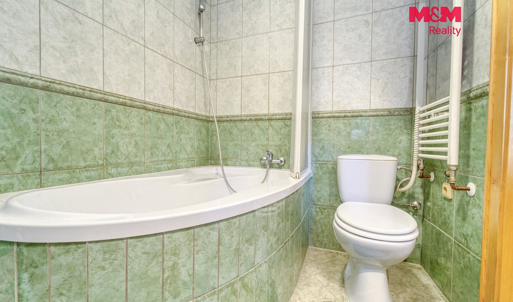 Prodej domu 100 m² s pozemkem 490 m², Dešenice – náhled fotky 16