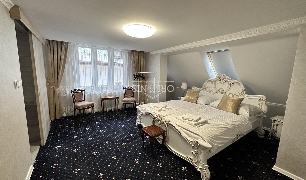 Prodej domu 351 m² s pozemkem 462 m², Karlovy Vary – náhled fotky 9