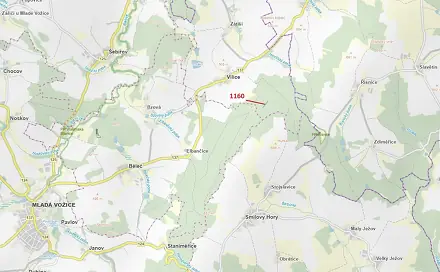 Dražba lesa 2 693 m², Vilice