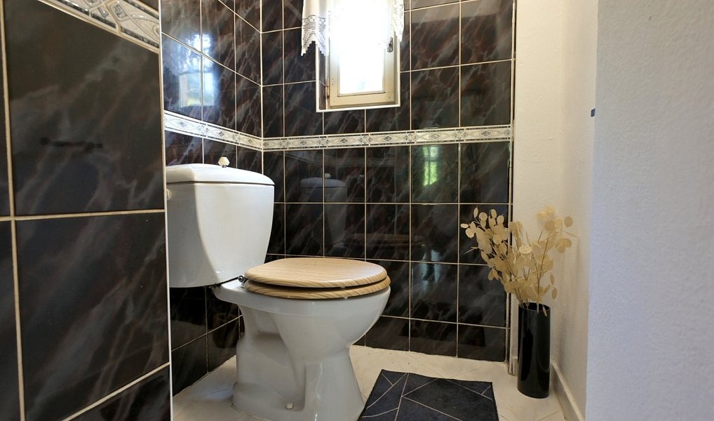 Prodej domu 239 m² s pozemkem 2 100 m², Vrchlabí – náhled fotky 11