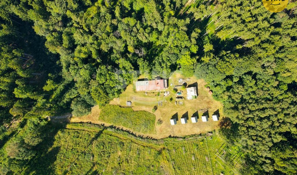 Prodej domu 500 m² s pozemkem 9 467 m², Česká Ves – náhled fotky 7