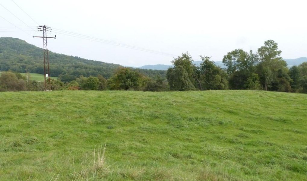 Prodej stavebního pozemku 6 828 m², Malšovice – náhled fotky 2