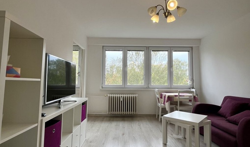 Pronájem bytu 1+1 30 m², Ostrava – náhled fotky 4