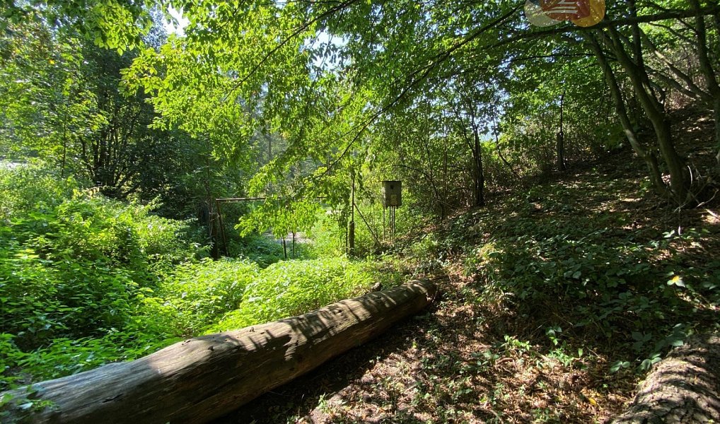 Prodej stavebního pozemku 1 312 m², Šternberk – náhled fotky 6