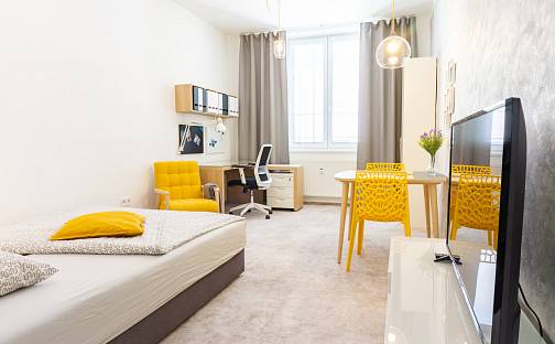 Pronájem bytu 1+kk 30 m², Křížová, Brno - Staré Brno