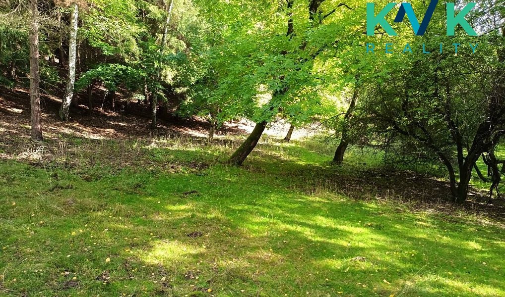 Prodej pozemku 5 448 m², Loket – náhled fotky 6