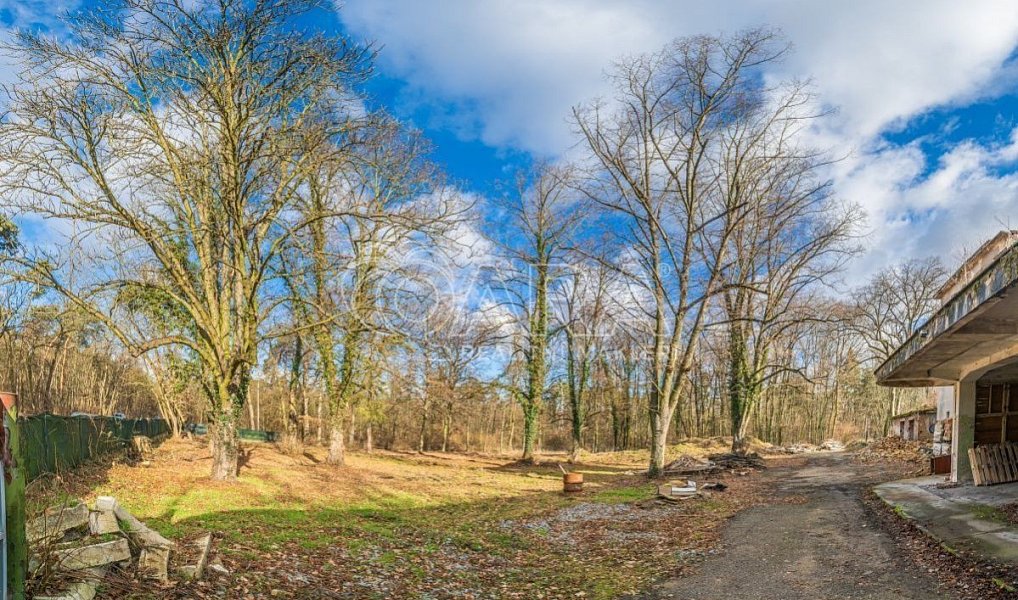 Prodej stavebního pozemku 6 090 m², Ovčáry – náhled fotky 7