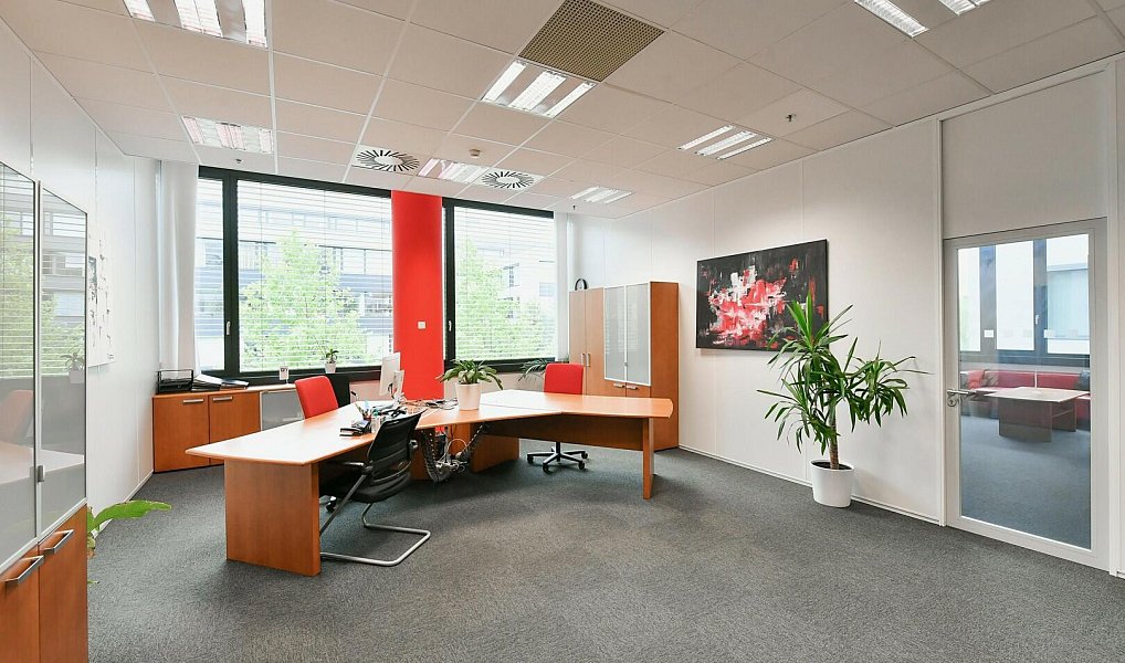 Pronájem kanceláře 340 m², Praha – náhled fotky 4