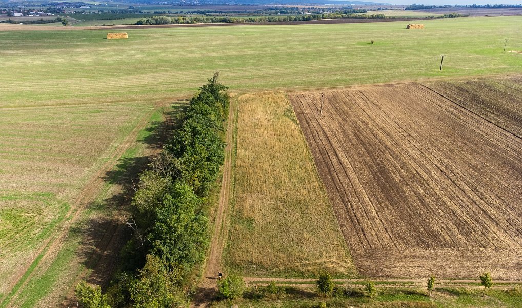 Prodej pole 5 903 m², Prace – náhled fotky 19