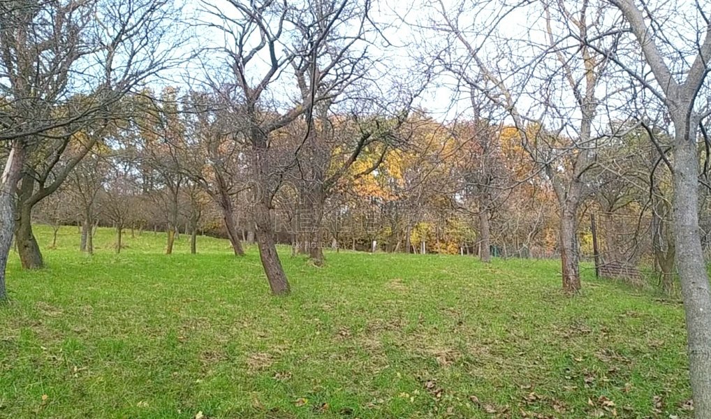 Prodej zahrady 3 492 m², Přílepy – náhled fotky 6