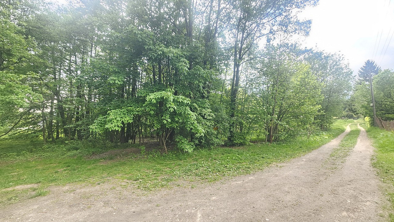 Prodej pozemku 9 589 m² – fotografie 2